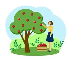 een meisje plukt fruit van een boom vector