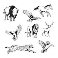 set van wilde dieren met de hand getekende vectorillustratie vector
