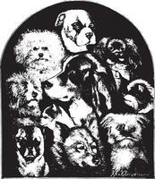 honden van divers rassen, wijnoogst gravure. vector
