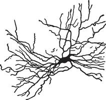 een type van zenuwcel, wijnoogst gravure. vector