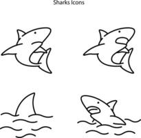 gemakkelijk haai icoon lijn illustratie vector, modern haai logo vector