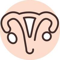 menselijk orgaan baarmoeder, icoon, vector Aan wit achtergrond.
