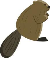 een bruin bever, vector kleur illustratie.