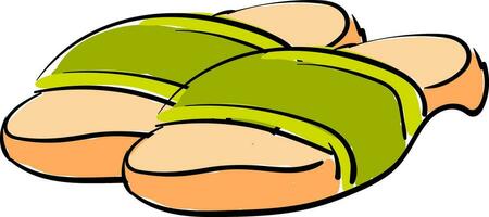 slippers illustratie vector Aan wit achtergrond