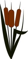 clip art van een cattail planttyfa vector of kleur illustratie