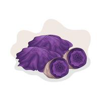 taro Purper zoet aardappel illustratie vector