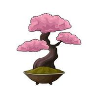 bonsai fabriek in pot illustratie vector