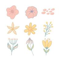 botanisch schattig hand- getrokken illustratie vector Aan wit achtergrond