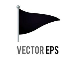 vector geïsoleerd vector driehoekig zwart vlag icoon met zilver pool