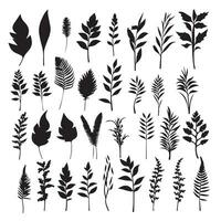 groot reeks van silhouetten van verschillend klein planten takken bladeren van planten patroon reeks van zwart vector illustraties verschillend bomen takken bladeren zwart silhouet