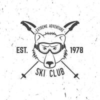 vector ski club retro kenteken.