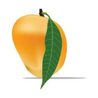 vector heerlijk mango rijp geel, oranje met blad geïsoleerd Aan wit achtergrond
