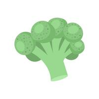 broccoli groente icoon. gezond voedsel, gezond levensstijl concept. vector