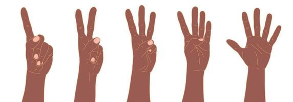 reeks van handen. tellen van een naar vijf met uw handen. vingers tellen. lichaam taal. communicatie gebaren concept. aantal 1, 2, 3, 4, 5 met hand- teken vector