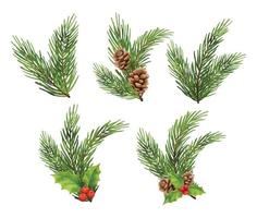 Kerst fir tree branch decoraties aquarel stijl. vector