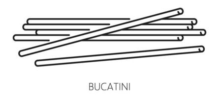 perciatelli dik spaghetti pasta bucatini voedsel vector