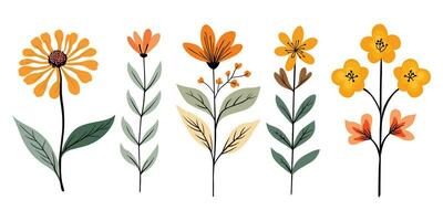 vector serie van hand getekend bloemen silhouetten