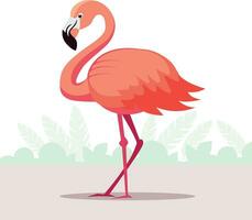 illustratie van een flamingo vector