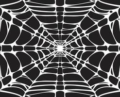 spin web Aan de muur in twee kleuren vector