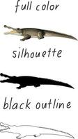 set van krokodil in kleur, silhouet en zwarte omtrek op witte achtergrond vector