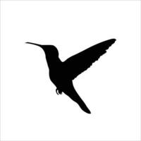 vogel silhouet vector