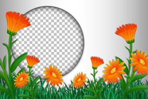 rond frame met tropische bloemen en bladerensjabloon vector