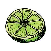 vector limoen clip art. hand- getrokken citrus icoon. fruit illustratie. voor afdrukken, web, ontwerp, decor