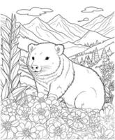 wombat bloem berg kleur bladzijde vector