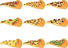 pizza plakjes soorten met verschillende toppings collectie vector