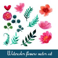 Verzameling van mooie aquarel bloemen vector