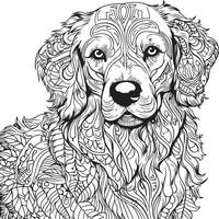 retriever lichaam kleur bladzijde vector