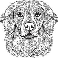 retriever lichaam kleur bladzijde vector