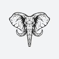 olifant hoofd illustratie vector