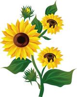 zonnebloem illustratie zonnig bloemen klem kunst vector