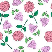 hortensia bloem patroon vector