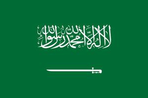 saudi Arabië vlag vector. nationaal vlag koninkrijk van saudi Arabië. vector