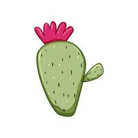 sappig cactus tekenfilm vector illustratie