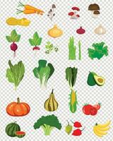 vector groente pictogrammen reeks in tekenfilm stijl. gezond voedsel. verzameling van agrarisch producten voor restaurant menu, markt etiketten.