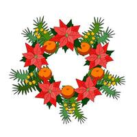 kleur vector illustratie van een nieuw jaar lauwerkrans. Kerstmis ster, net takken, mandarijnen en bessen.