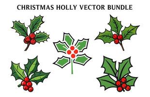 Kerstmis hulst vector illustratie set, Kerstmis hulst clip art bundel