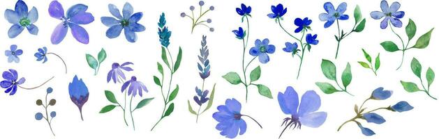 waterverf bloemen reeks met blauw bloemen. hand- getrokken illustratie geïsoleerd Aan wit achtergrond. vector