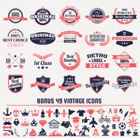 Vintage Retro Vector Labels voor banner