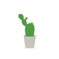 cactus pictogrammen in een vlak stijl Aan een wit achtergrond. huis planten cactus in potten en met bloemen. een verscheidenheid van decoratief cactus met stekels en zonder. vector