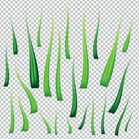 voorjaar vector illustratie met groen gras