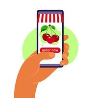 online eten bestellen. boodschappen bezorgen. vector