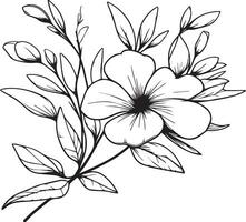 vector schetsen van bloemen. maagdenpalm lijn tekeningen, hand geschilderd Madagascar maagdenpalm muur kunst, botanisch vinca muur kunst, gemakkelijk maagdenpalm tekening, neeontara voorraad schets tekening, maagdenpalm bloem