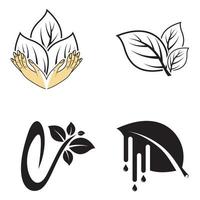 blad vector logo sjabloon pictogram ontwerp