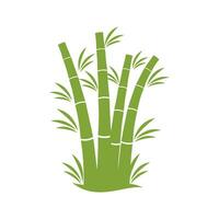 bamboe boom logo vector