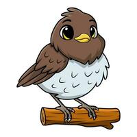schattig Robin vogel tekenfilm Aan wit achtergrond vector