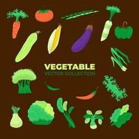 vector collectie van diverse groenten voor vegetariërs